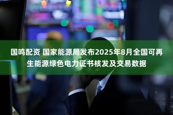 国鸣配资 国家能源局发布2025年8月全国可再生能源绿色电力证书核发及交易数据