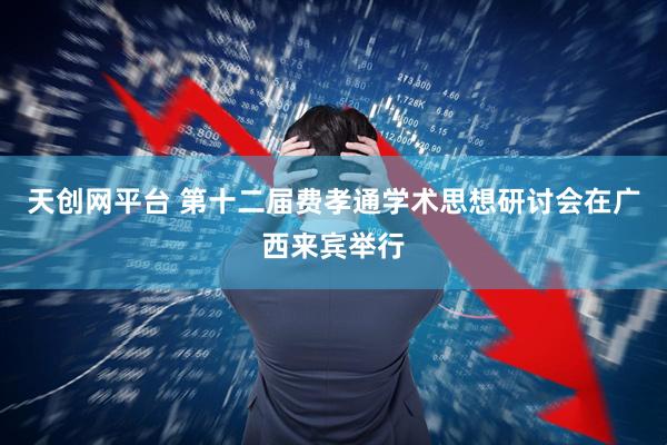 天创网平台 第十二届费孝通学术思想研讨会在广西来宾举行