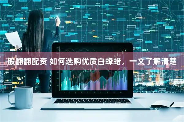 股翻翻配资 如何选购优质白蜂蜡，一文了解清楚