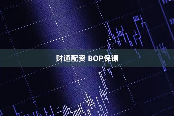 财通配资 BOP保镖